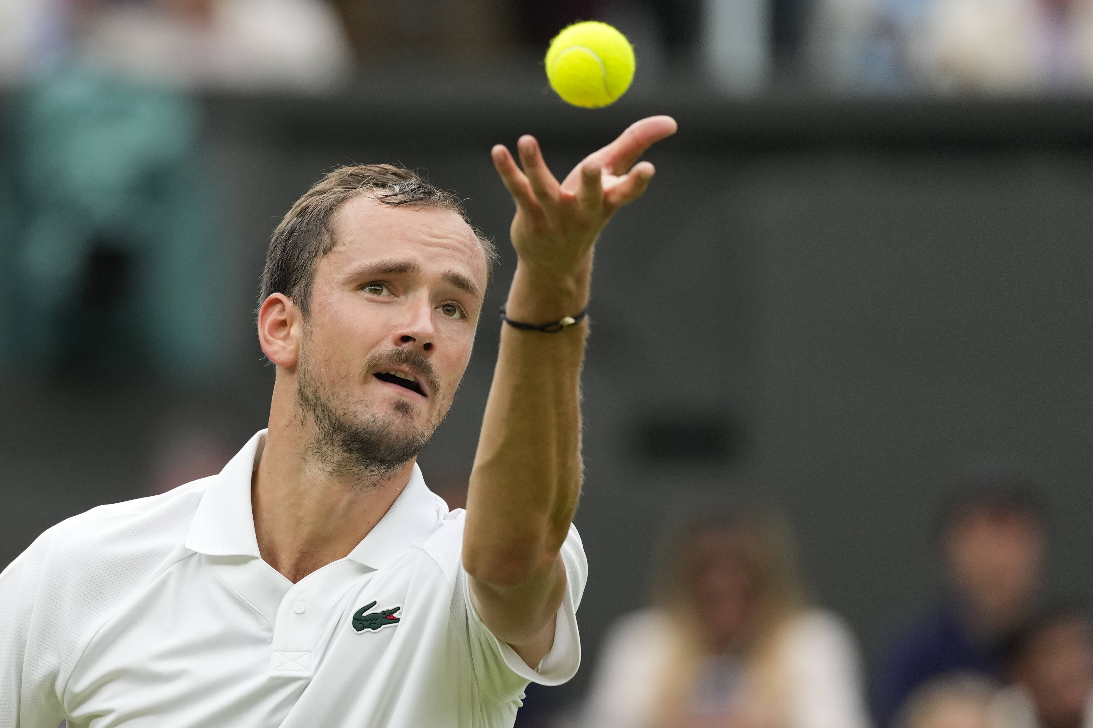 关于戴维斯杯横扫美网,梅德韦杰夫状态火热的信息 关于戴维斯杯横扫美网,梅德韦杰夫状态火热的信息