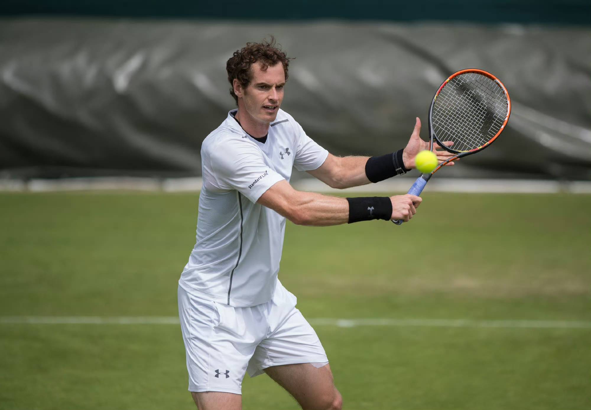 开云体育登录-温网轻取美网，穆雷点燃赛场