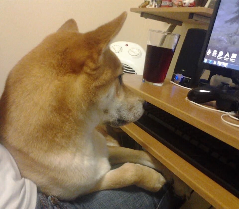 绿茵争冠与篮下烽火，当德甲焦点战遇上马刺的压制美学