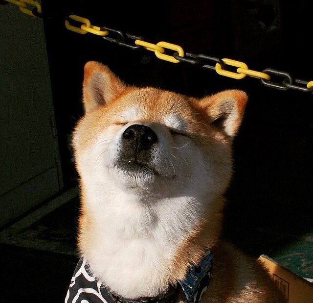 新王者的加时洗礼，当维京战吼遭遇西非鼓点