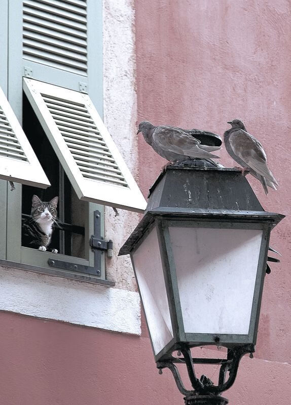 双面足球，国家德比的战术博弈，那不勒斯的火力宣言