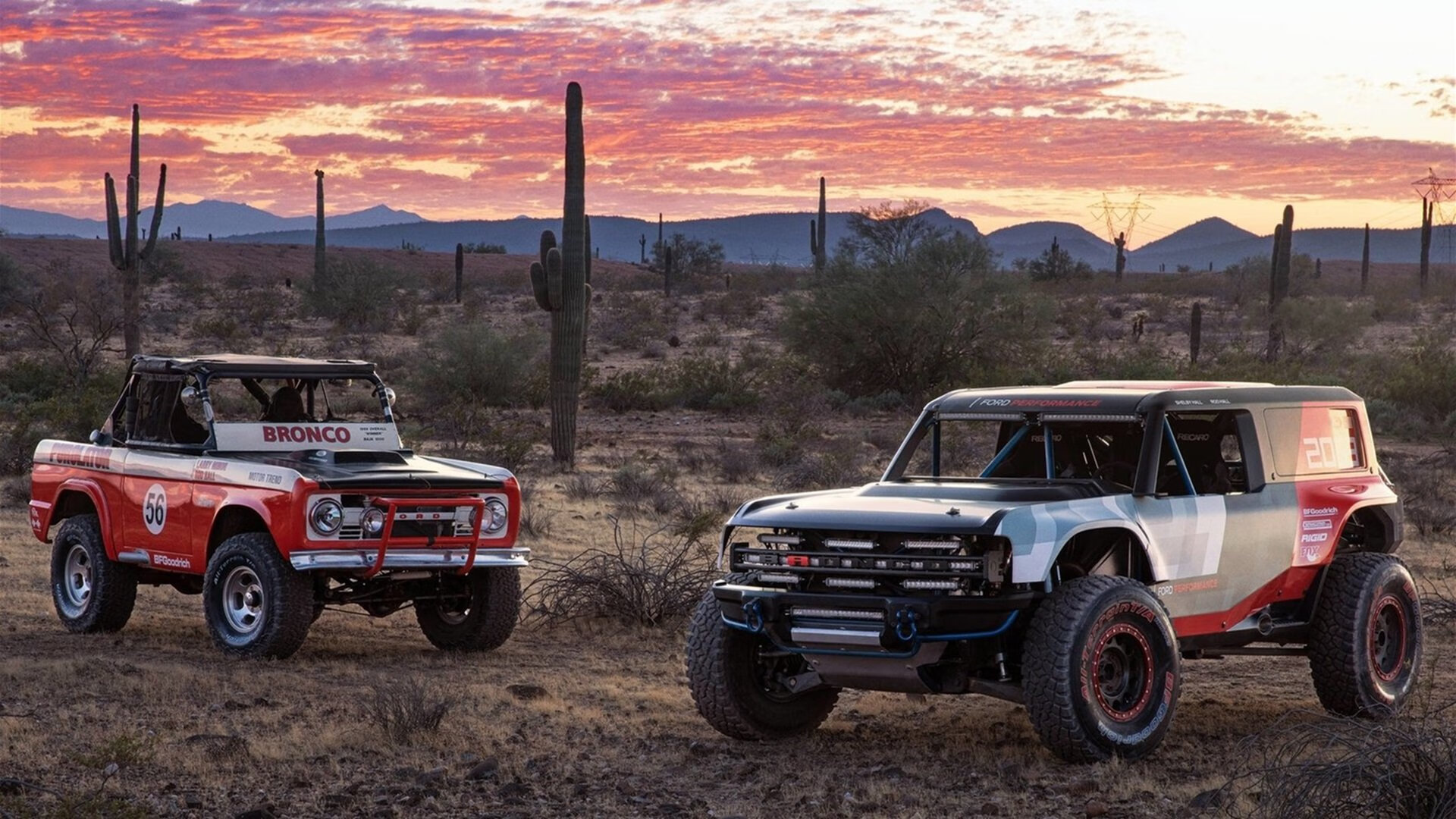 绿茵平行宇宙，国家德比的星光与伊朗足球的黎明