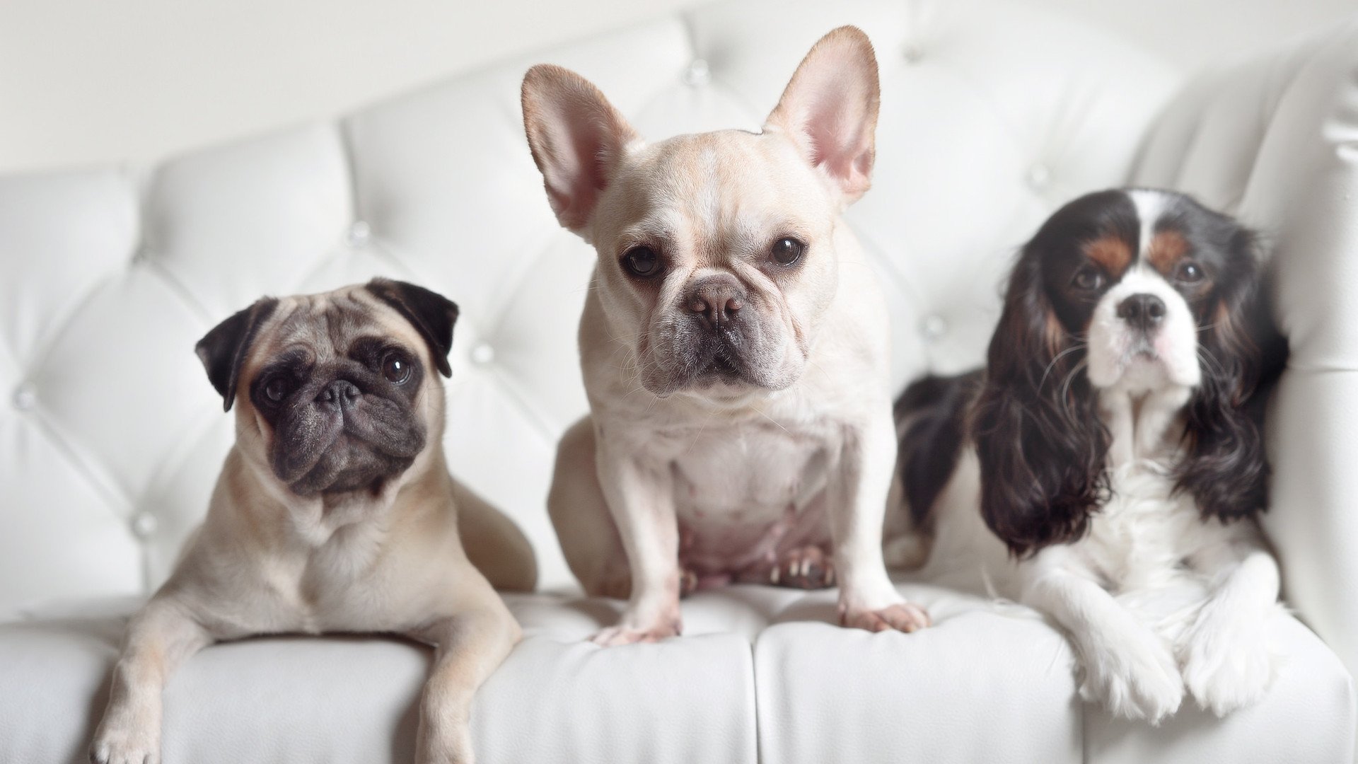 唯一性，尼克斯的终极宣言