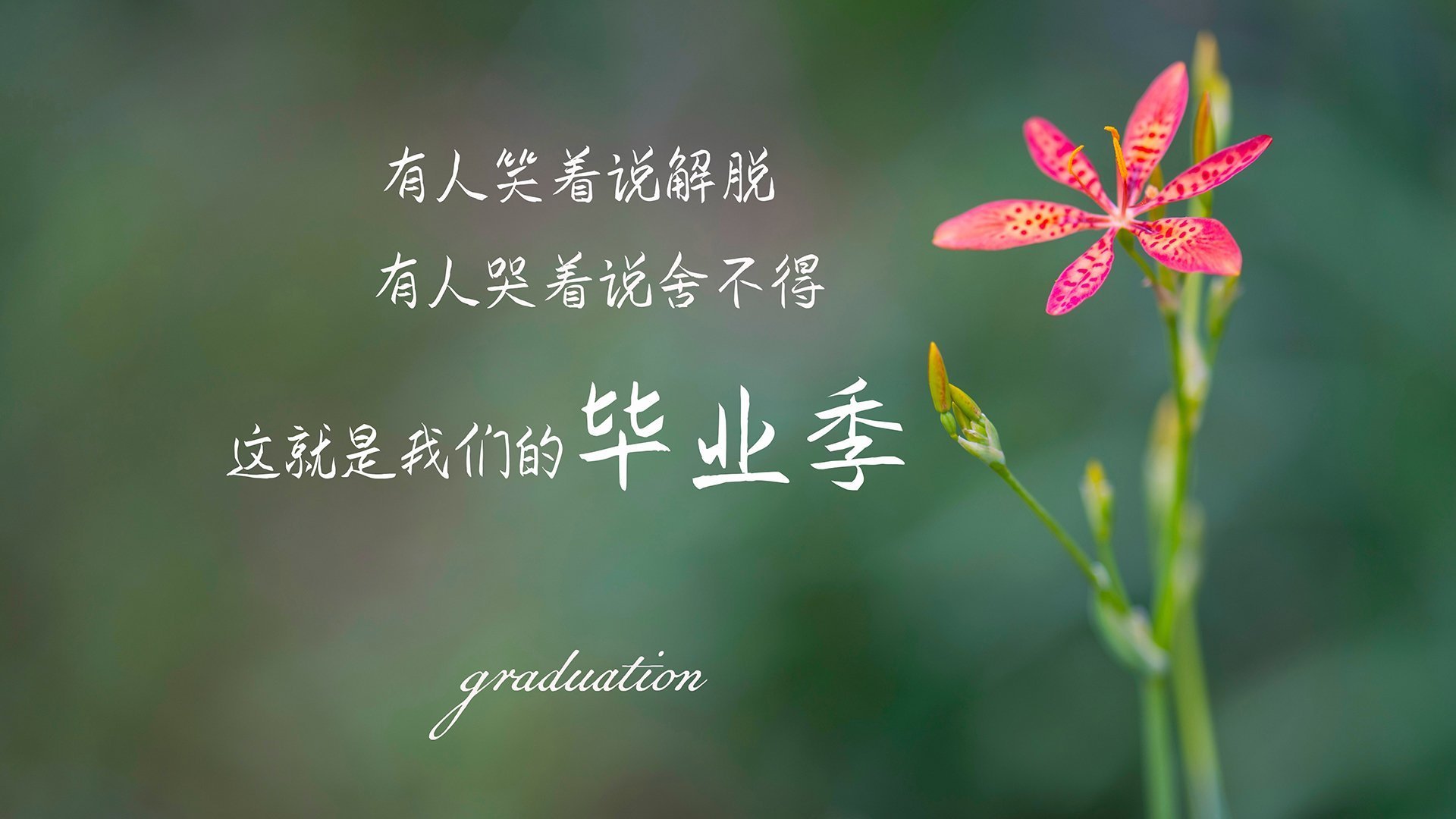 神兵天降!卡瓦哈尔以教科书式防守锁死加纳尖刀