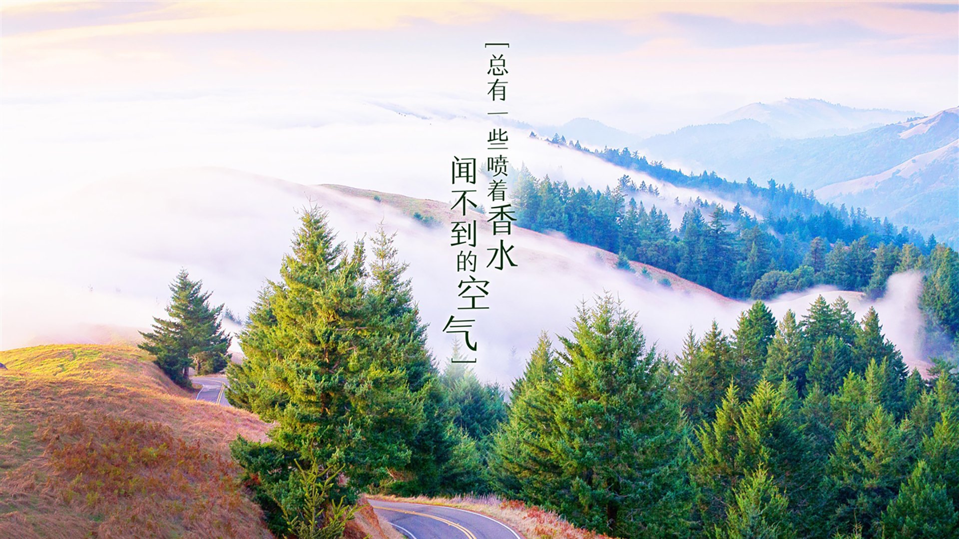 以下是为您构思的文章标题及正文