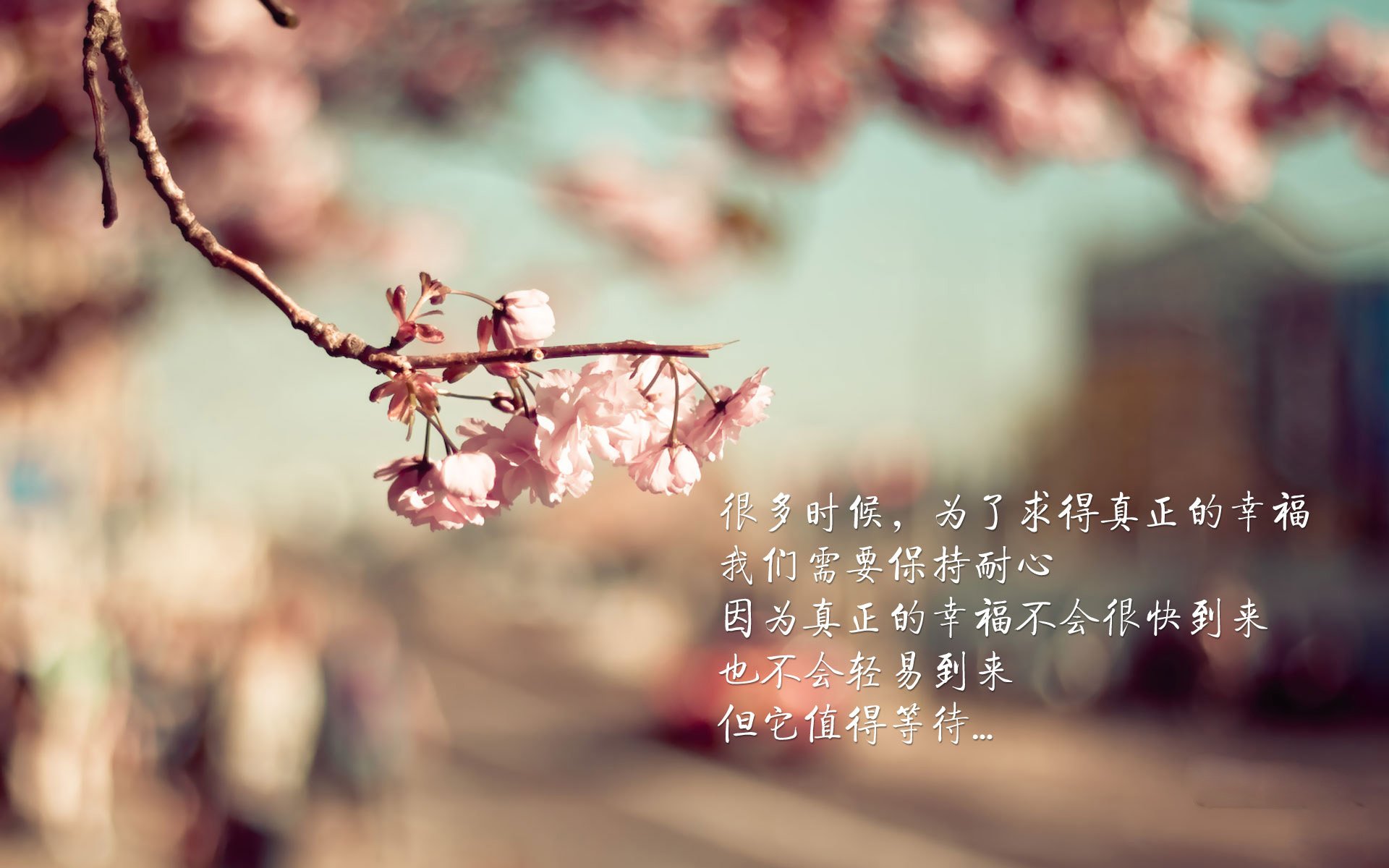 好，我来为你构思一个具有独特视角的标题，并撰写一篇完整的文章