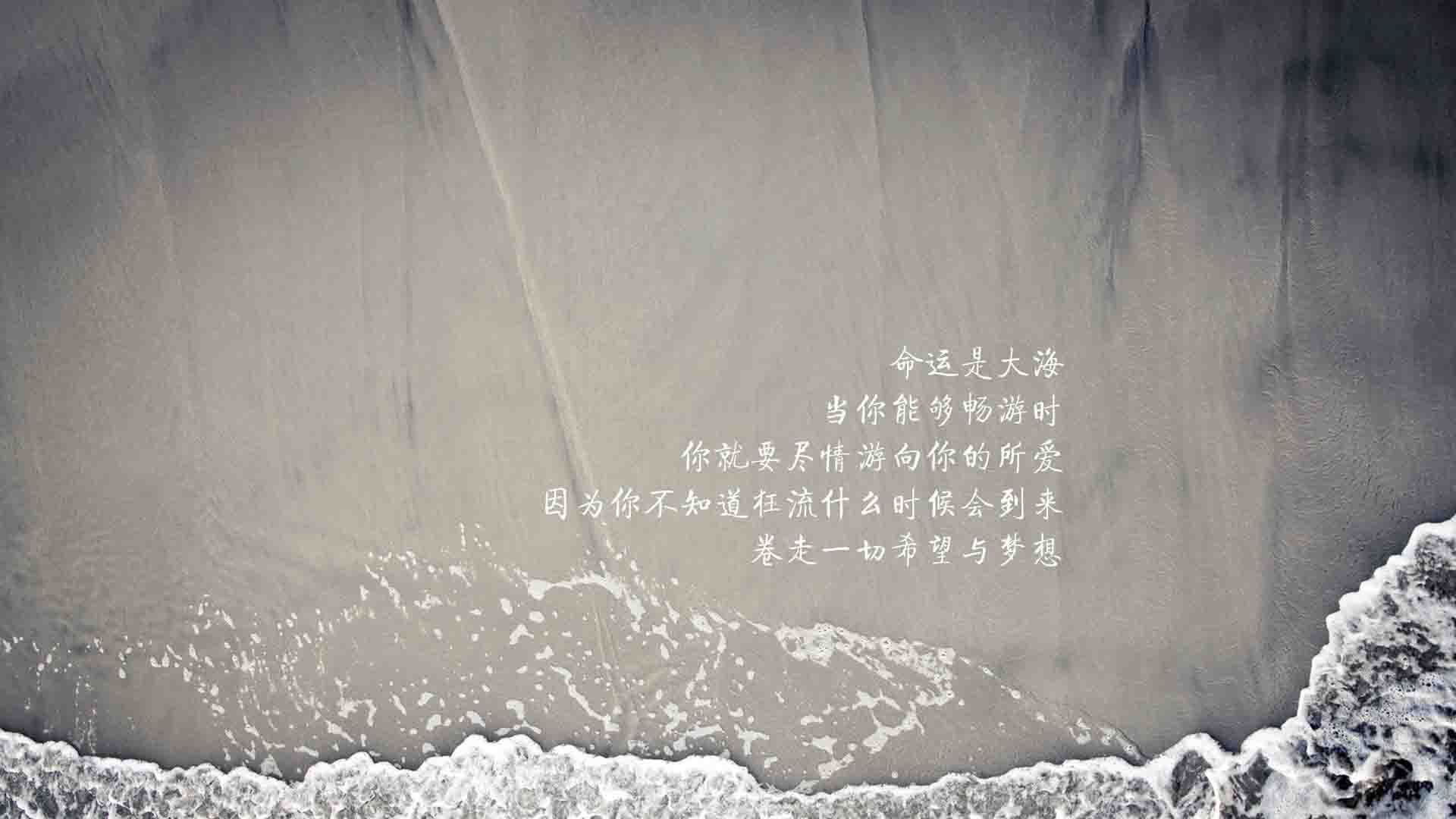 逆转之王莱万,打破大国的唯一种植园,当厄瓜多尔的高原之鹰啄伤葡萄牙的航海家