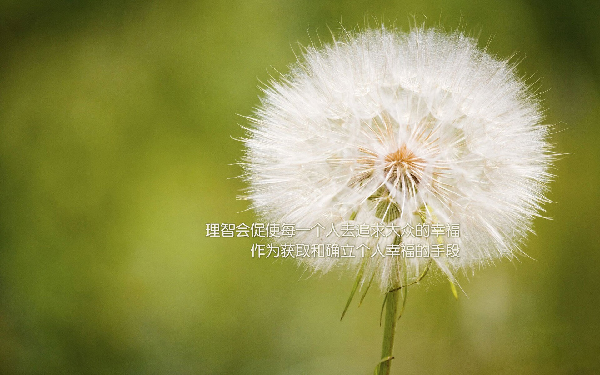 王者之师与太极虎的巅峰碰撞,阿诺德导演控球革命,法国队打破韩国铁壁,H组强强对话划破夜空