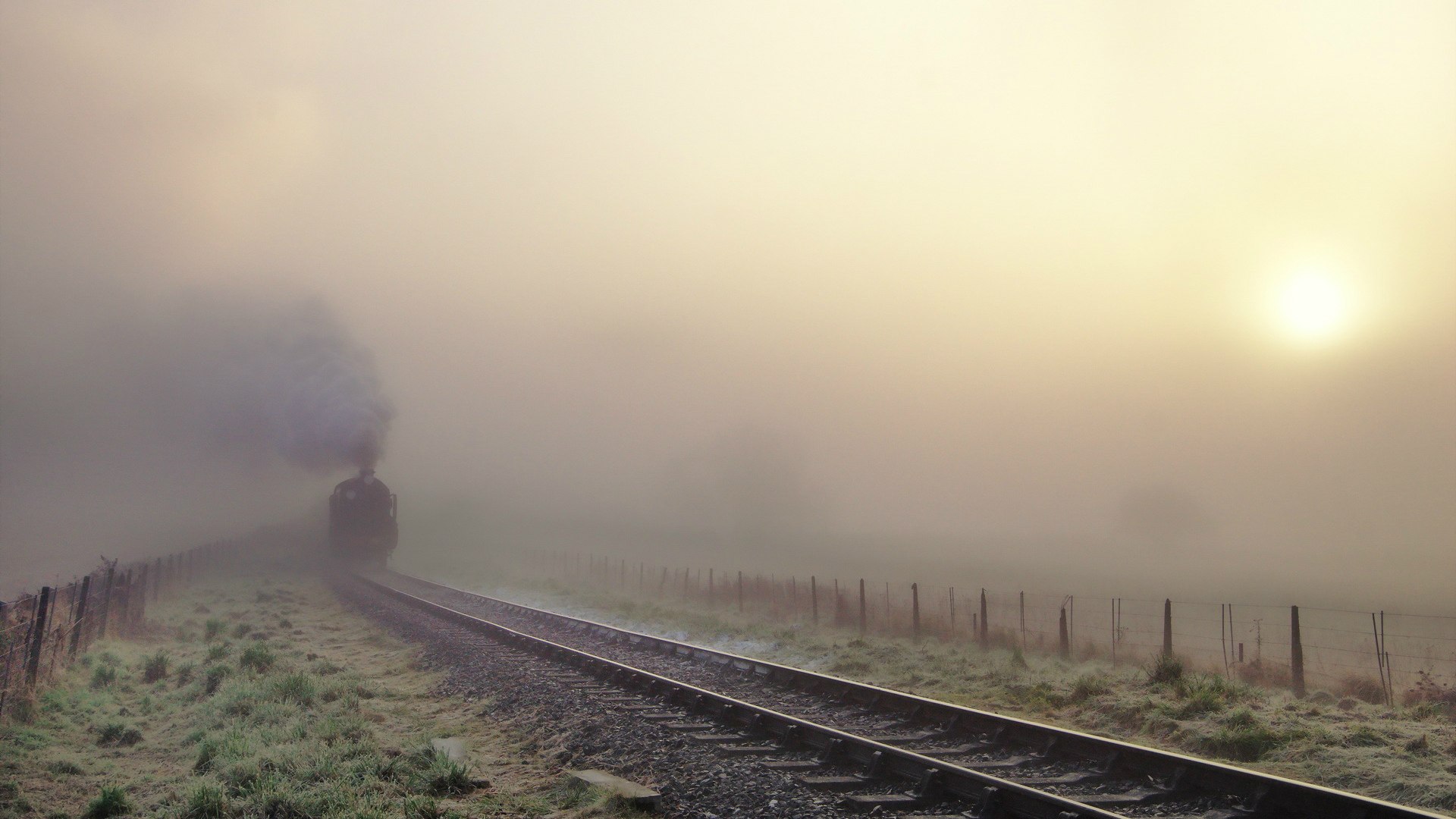 魔笛终章前的狂想,2026,布罗佐维奇与双刃哥伦比亚如何用血性砸碎西班牙的精密齿轮
